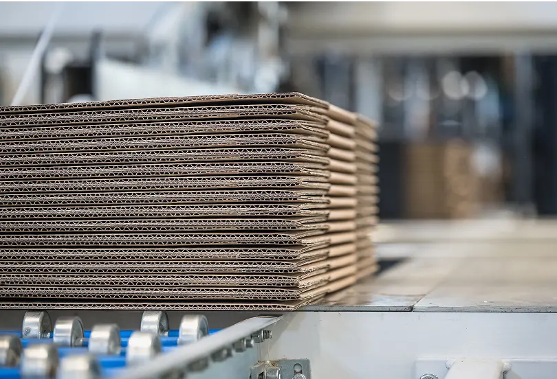 Corrugated cardboard sheets on the Lorenaprom production line