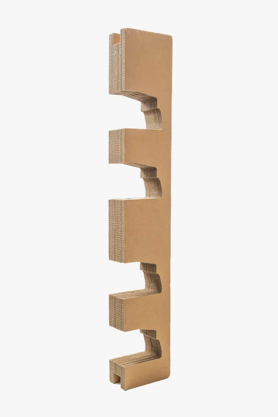 Cardboard — Photo 4