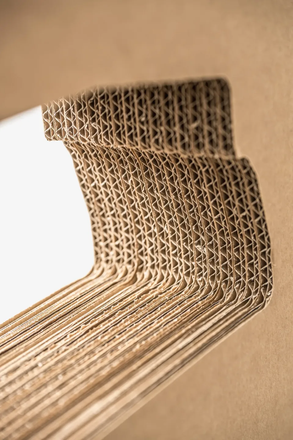 Cardboard — Photo 19