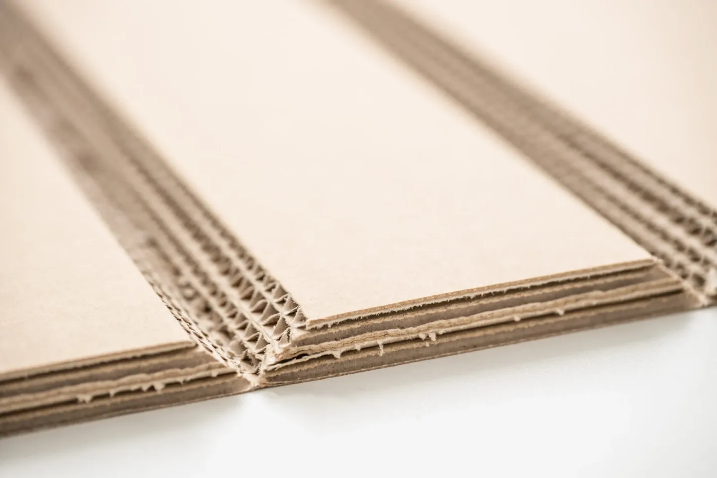 Cardboard — Photo 15